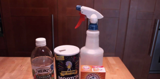 Kill fleas using this homemade flea powder