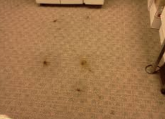 6 carpet cleaning tips you wish you knew before