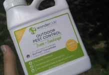 2 Efficient Ways to Use Cedar Oil To Repel Ticks