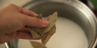 8 Bay leaves benefits you wish you knew before