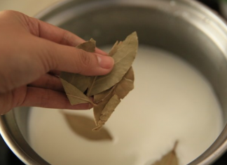 8 Bay leaves benefits you wish you knew before