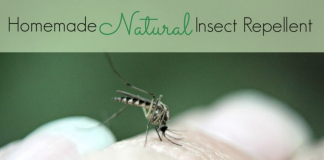How to make a DIY mosquito repellent