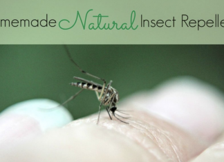 How to make a DIY mosquito repellent