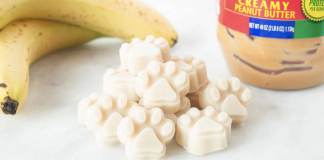 How to make frozen banana dog treats