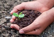 The 4 Surprising Reasons Why Dirt Makes You Happier!