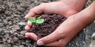 The 4 Surprising Reasons Why Dirt Makes You Happier!