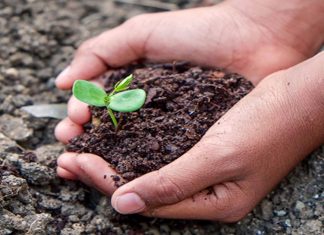 The 4 Surprising Reasons Why Dirt Makes You Happier!