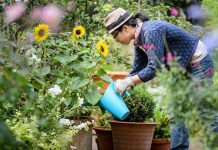 If You Want To Have The Best Garden Of Your Neighborhood, Follow These 9 Tips!