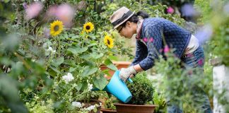 If You Want To Have The Best Garden Of Your Neighborhood, Follow These 9 Tips!