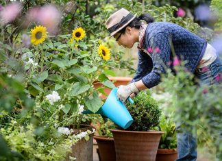 If You Want To Have The Best Garden Of Your Neighborhood, Follow These 9 Tips!