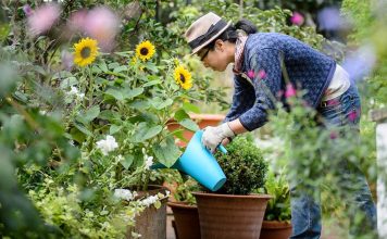If You Want To Have The Best Garden Of Your Neighborhood, Follow These 9 Tips!