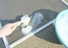 8 Efficient Tips to Clean Window Screens