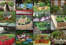 20 Unique & Fun Raised Garden Bed Ideas