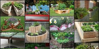 20 Unique & Fun Raised Garden Bed Ideas