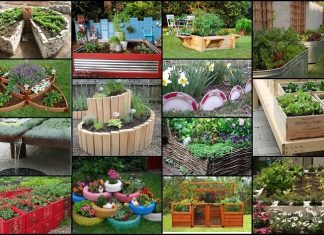 20 Unique & Fun Raised Garden Bed Ideas