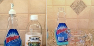 12 Windex uses you should know about