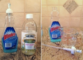 12 Windex uses you should know about