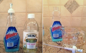 12 Windex uses you should know about
