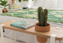 Keep these 8 plants in your bedroom to sleep better during the night