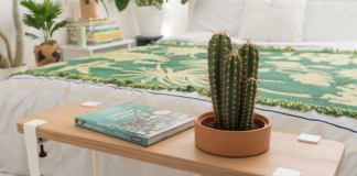 Keep these 8 plants in your bedroom to sleep better during the night