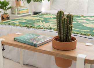 Keep these 8 plants in your bedroom to sleep better during the night