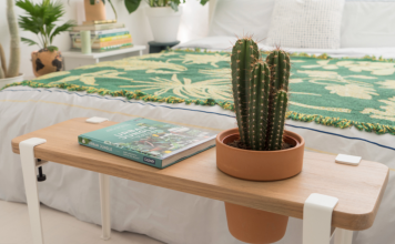 Keep these 8 plants in your bedroom to sleep better during the night