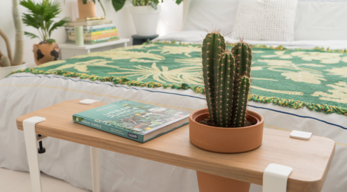 Keep these 8 plants in your bedroom to sleep better during the night