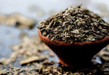 Kill internal parasites with these 7 herbs and foods