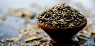 Kill internal parasites with these 7 herbs and foods