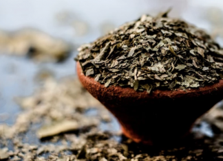 Kill internal parasites with these 7 herbs and foods