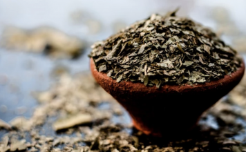 Kill internal parasites with these 7 herbs and foods