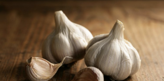 After reading this, you will start eating garlic regularly