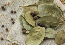 8 bay leaves benefits and uses you never knew about