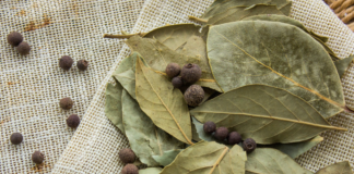 8 bay leaves benefits and uses you never knew about