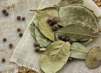 8 bay leaves benefits and uses you never knew about