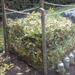 How to Make Leaf Mould (Mold) – Fast & Easy Way