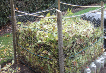 How to Make Leaf Mould (Mold) – Fast & Easy Way