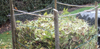 How to Make Leaf Mould (Mold) – Fast & Easy Way