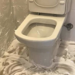 The proper way to get rid of the urine smell in the bathroom
