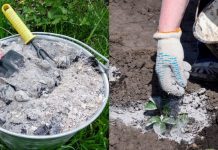 30 Uses For Wood Ash Around the Home and Garden