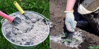 30 Uses For Wood Ash Around the Home and Garden
