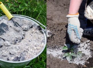 30 Uses For Wood Ash Around the Home and Garden