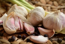 The proper way to use garlic for pneumonia, coughs, colds, and ear infections treatment