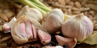 The proper way to use garlic for pneumonia, coughs, colds, and ear infections treatment