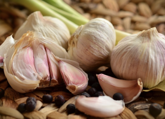 The proper way to use garlic for pneumonia, coughs, colds, and ear infections treatment