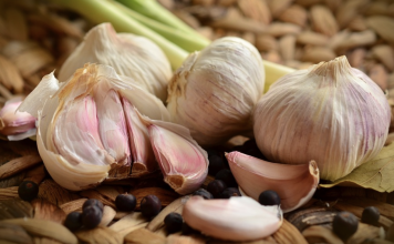 The proper way to use garlic for pneumonia, coughs, colds, and ear infections treatment