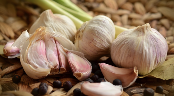 The proper way to use garlic for pneumonia, coughs, colds, and ear infections treatment
