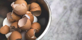 The benefits of eggshells and how to prepare eggshell powder