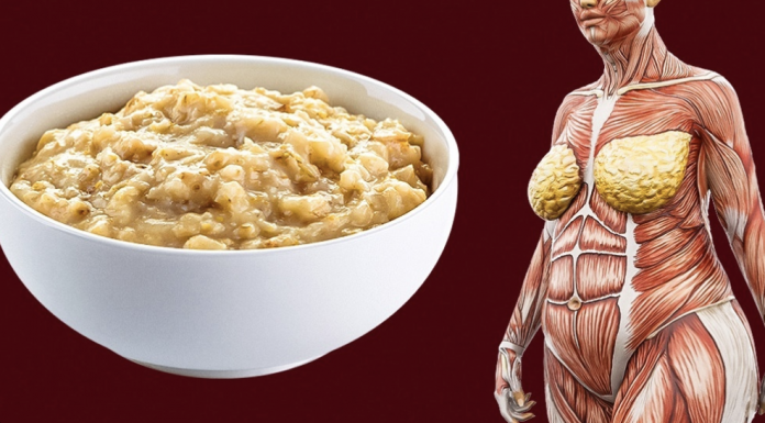 After reading this, you will start eating oatmeal every single morning