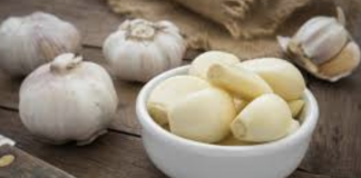 How to use grlic to fight against pneumonia, coughs, colds, and ear infections